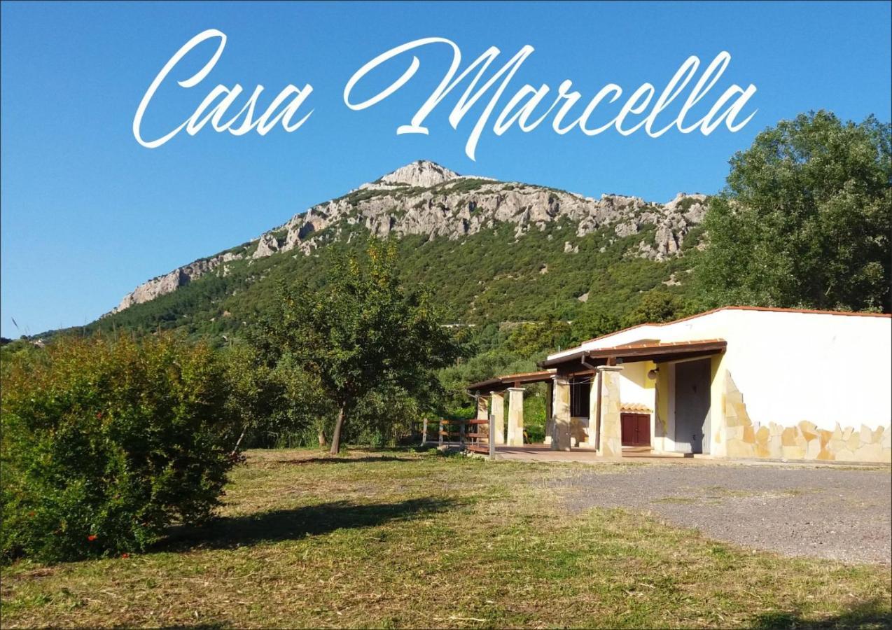 Casa Marcella Lejlighed Dorgali Eksteriør billede